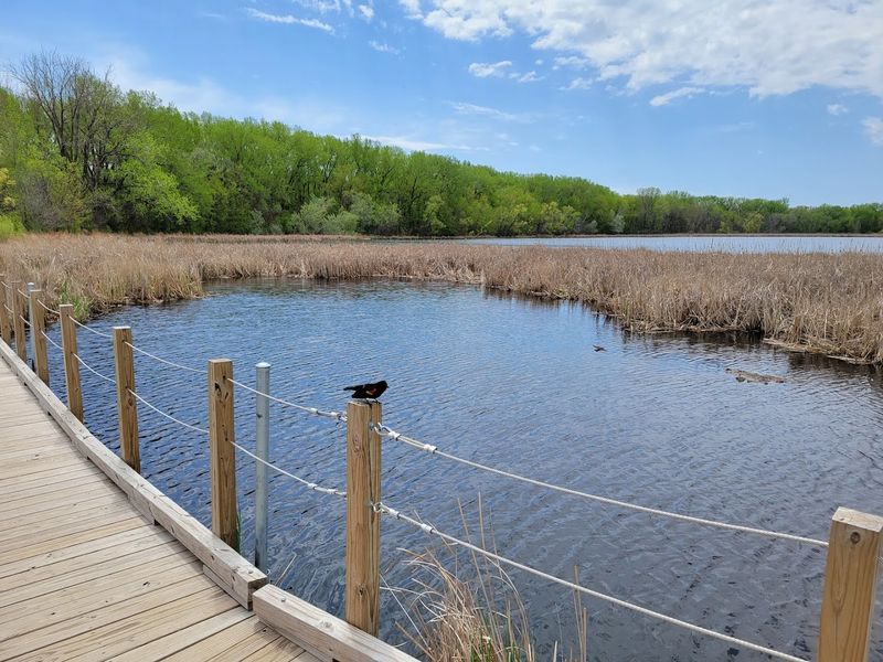 A 2-Mile Loop Through Several Distinct Habitats