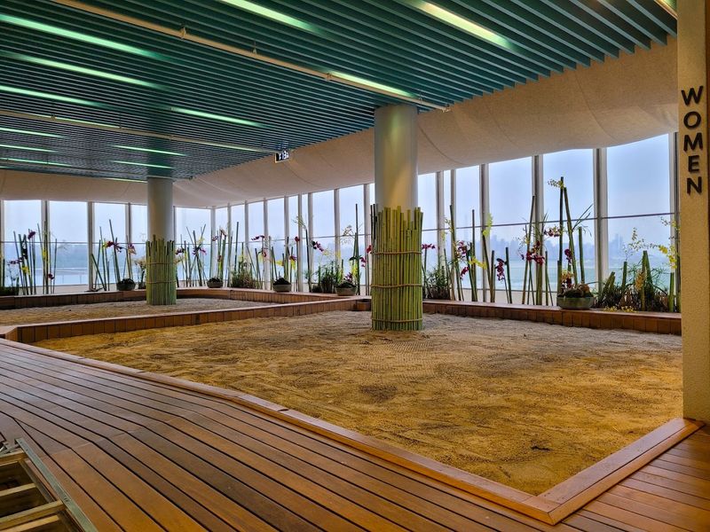 The Yoga Studio and Weekend Classes