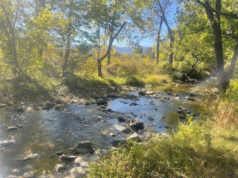 White Oak Canyon: Another Trail Fueling the Frenzy