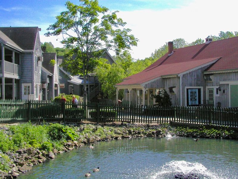 The Pet-Friendly Atmosphere and Community Events That Bring Everyone Together