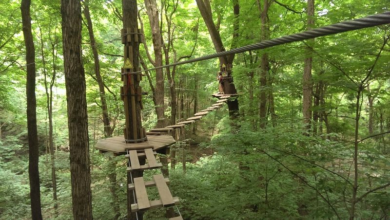 Team Building Programs Built for Real Results