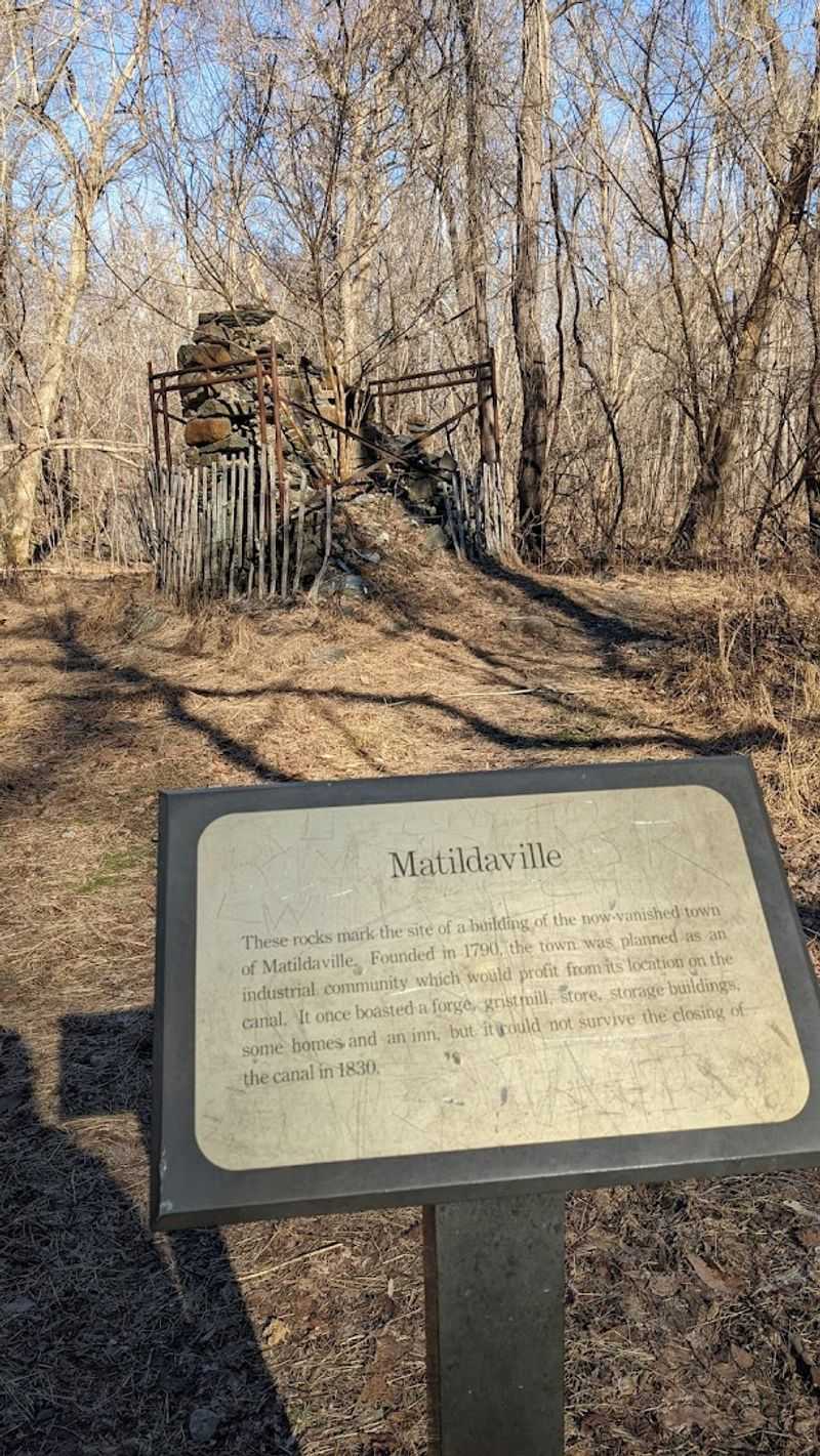 Light Horse Harry Lee's Bold Vision