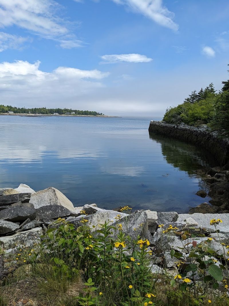 The Abandoned Quarry Now A Swimming Hole