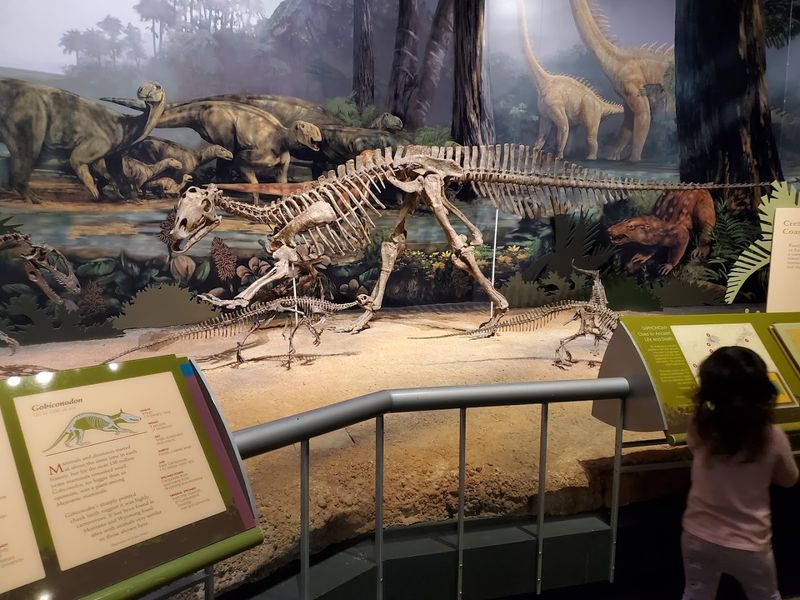 Special Weekend Events That Make Every Visit Different