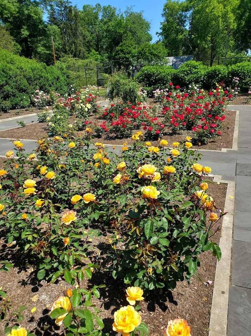 The Perennial Garden: Color That Comes Back Every Year The Perennial Garden: Color That Comes Back Every Year