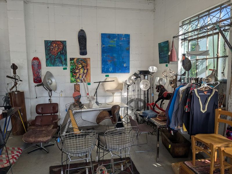 A Space That Welcomes Both Collectors and Curious Wanderers