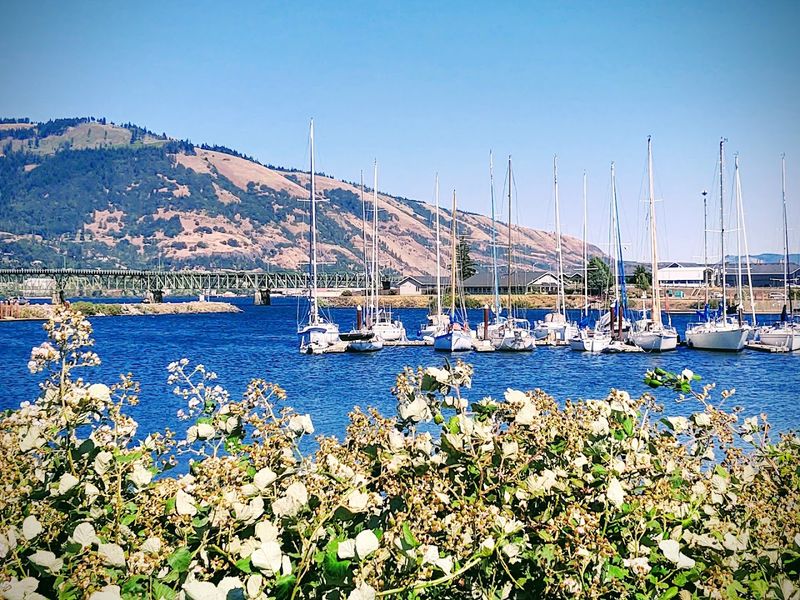 Housing Costs and the Locals Being Priced Out