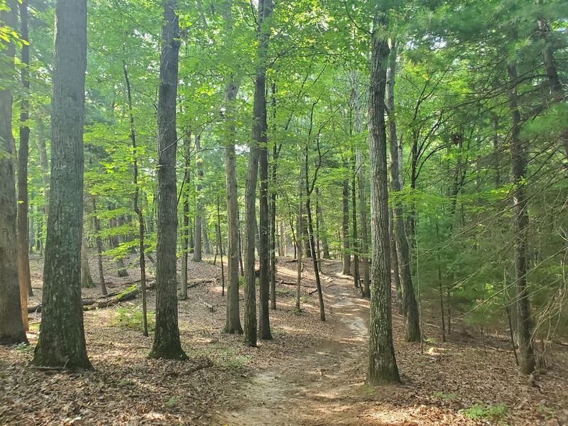 Hiking Trails With Lakeside Views Worth Every Step