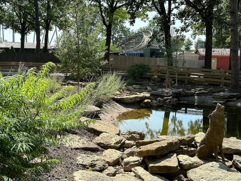 Roller Coaster Track Through the Trees