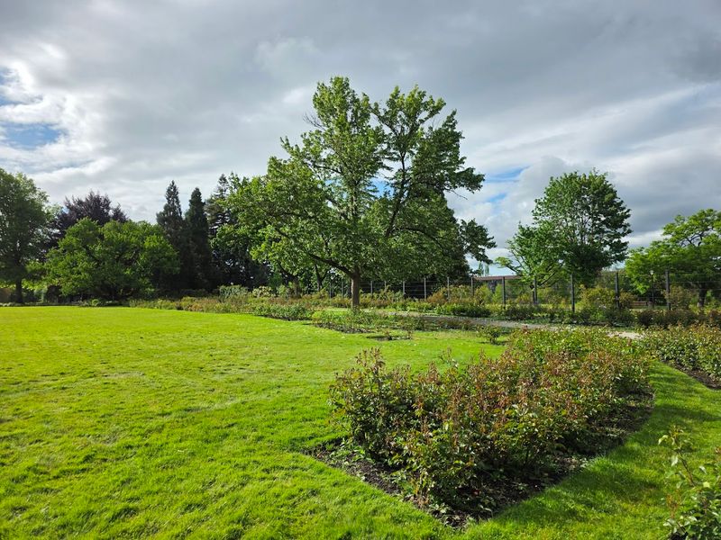 Picnic Areas and Grassy Lawn Spaces