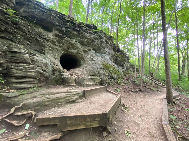Ancient Fossils Embedded In The Rocky Gorge Walls