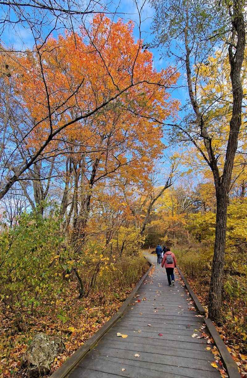 Fall Colors That Stop You Cold