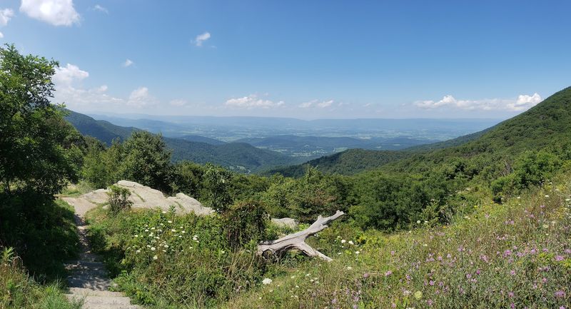 Skyline Drive Access: The Scenic Route That Sets the Mood