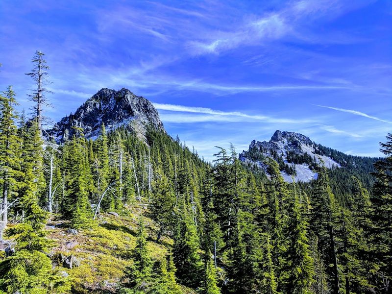 154 Acres of Wild Oregon Forest