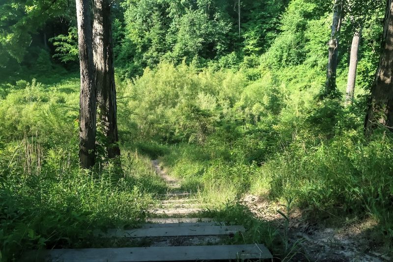 Camping Options That Cover Every Style From Rustic To Comfortable