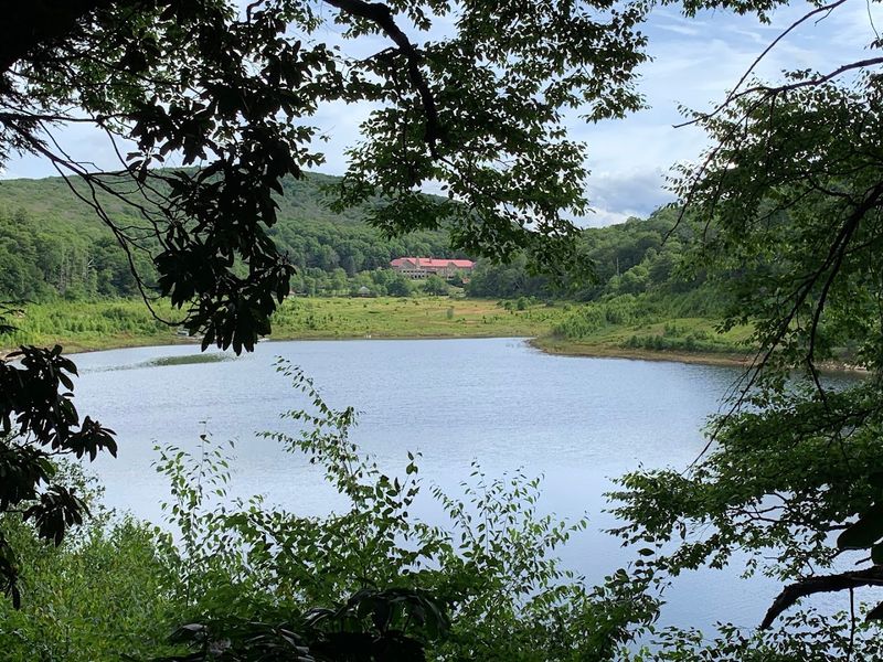 When the Lake Began Its Comeback