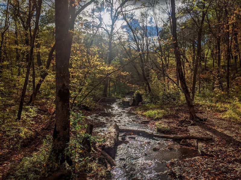Trails That Work for Every Kind of Visitor