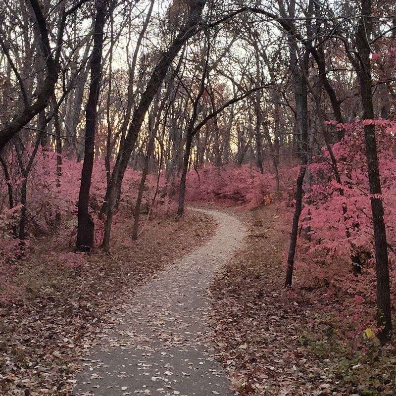 The Paved Trail That Makes Exploring Easy