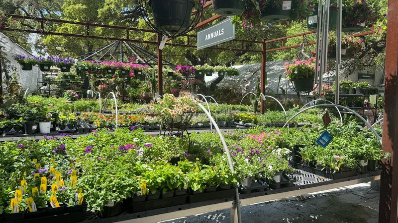 Herbs, Annuals, and Perennials for Every Kind of Gardener
