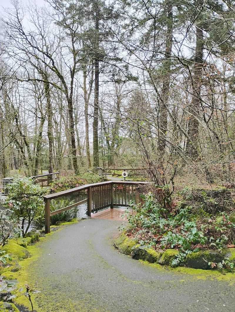 Self-Guided Walking Tour: Follow the Fish Prints