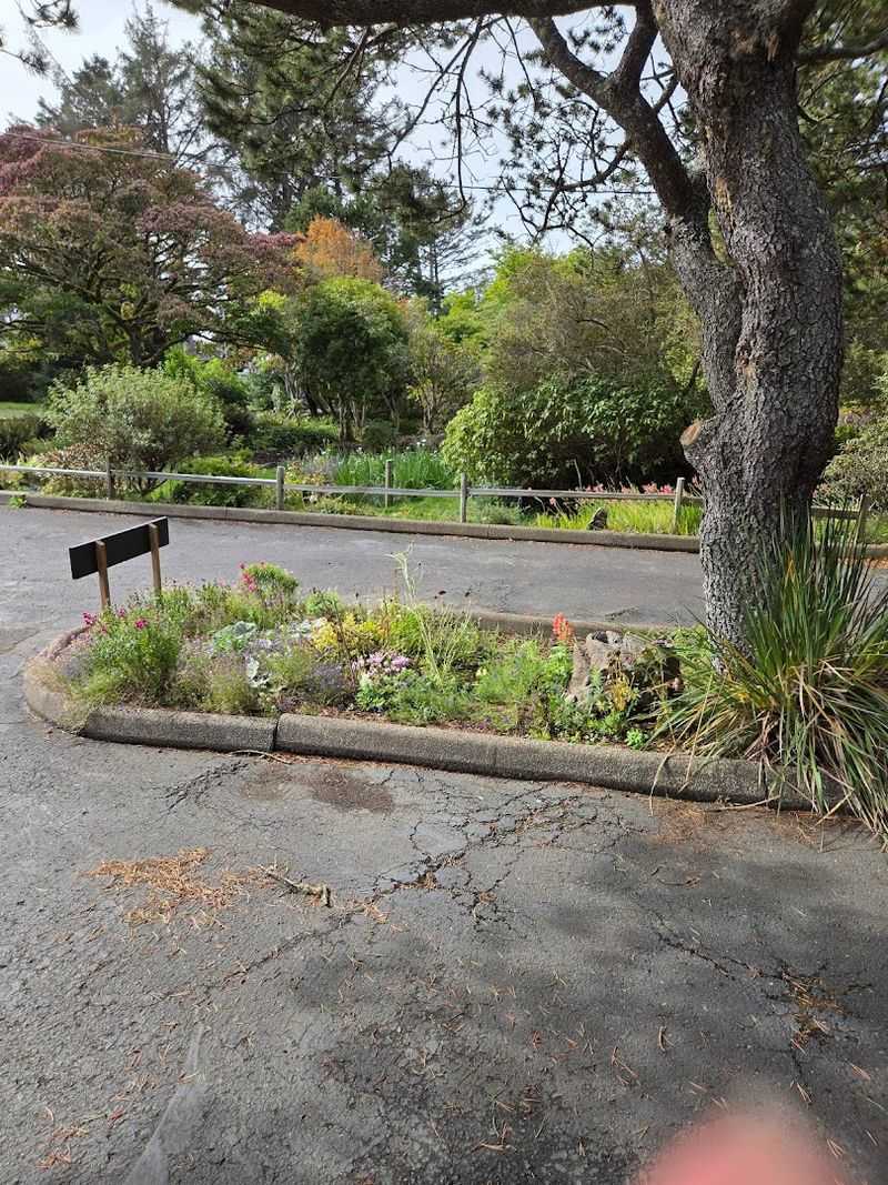 Planning Your Visit to Connie Hansen Garden Conservancy