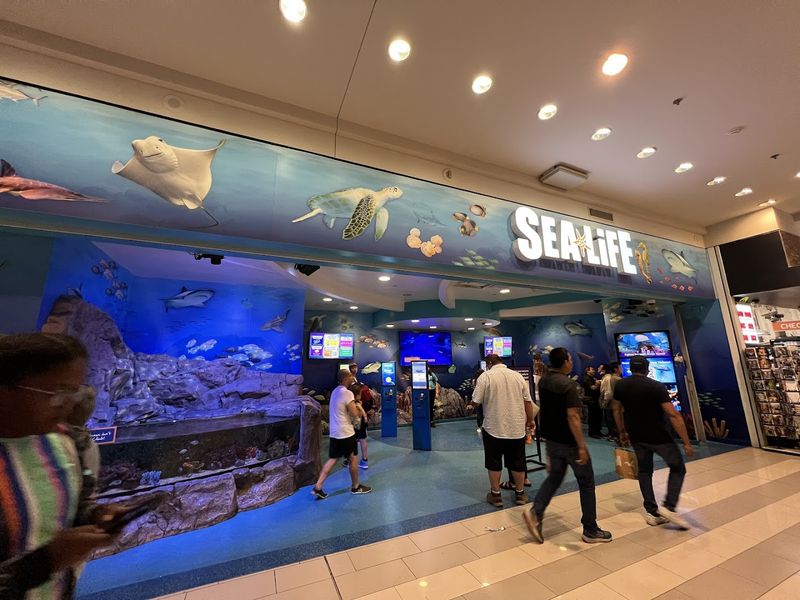 Planning Your Visit to SEA LIFE at Mall of America