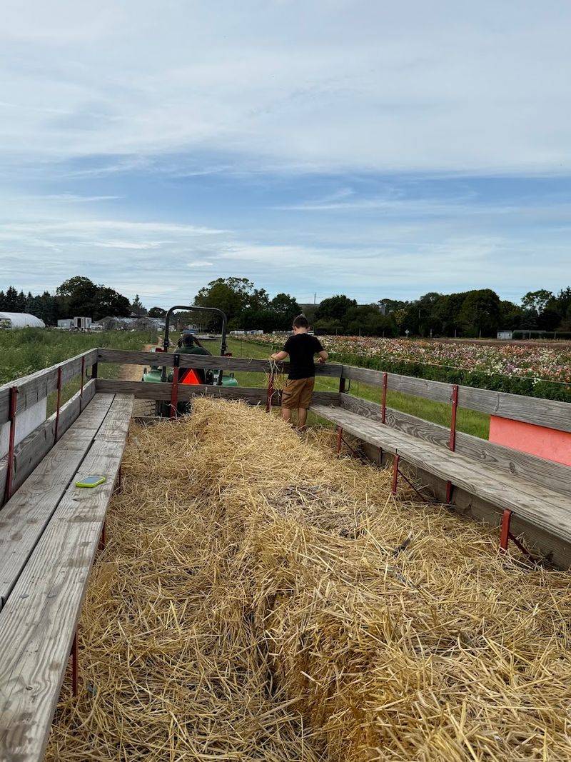 Hayrides And Farm Fun Stretch The Visit
