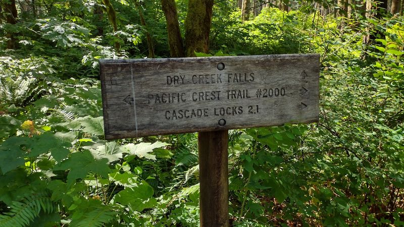 Practical Tips Before You Hit the Trail