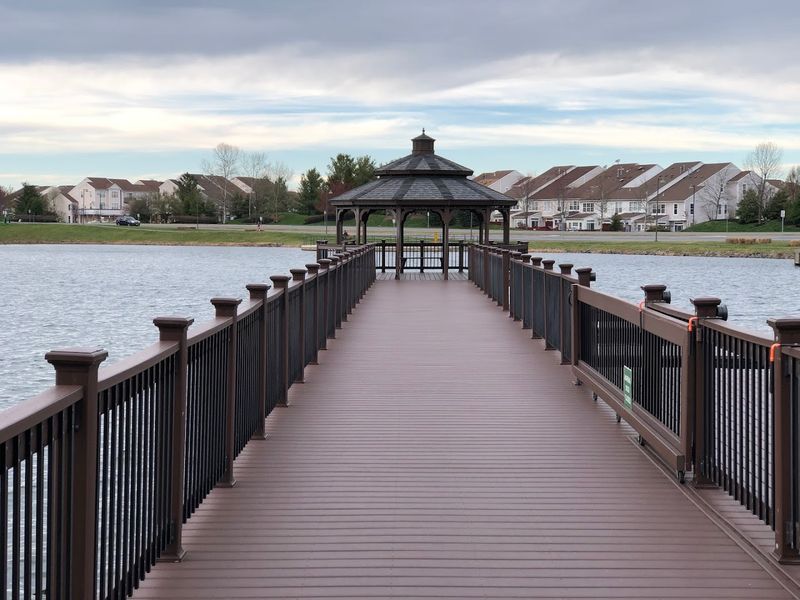 The Environmental Elephant In The Server Room