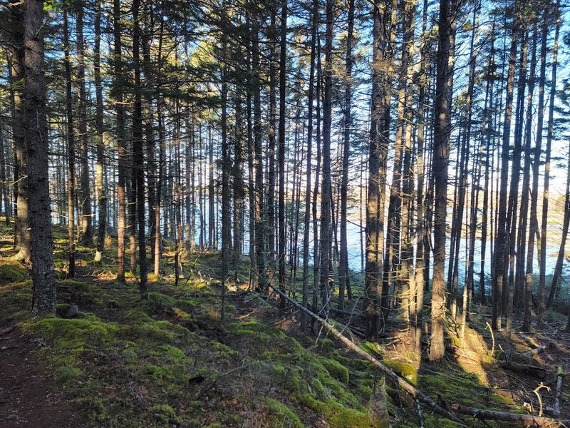 The Former Quarry Village With A Post Office