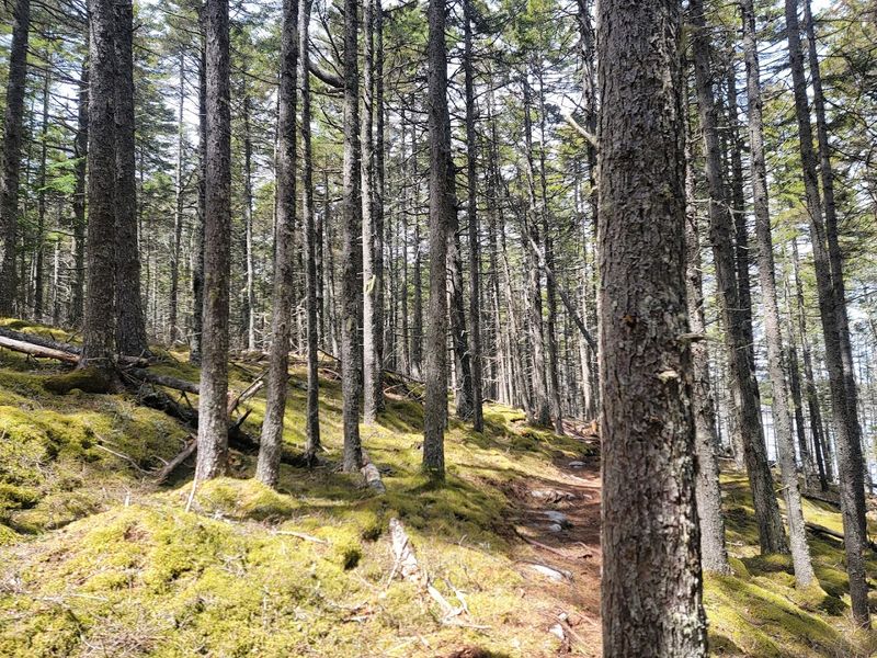 The 124 Acre Preserve With Miles Of Trails