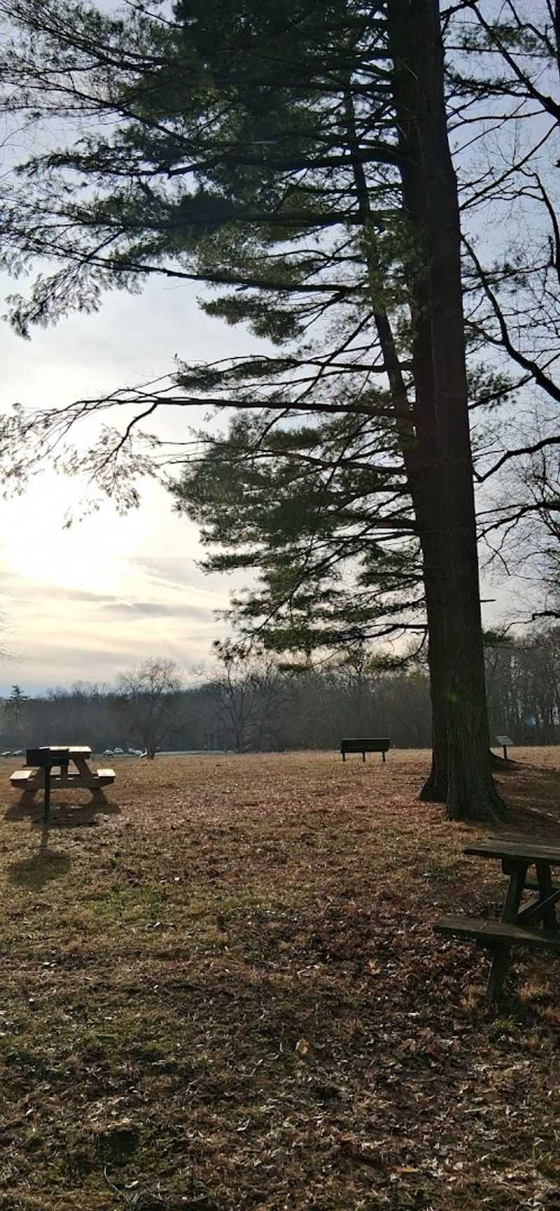 Four Prehistoric Mounds Along One Easy Loop