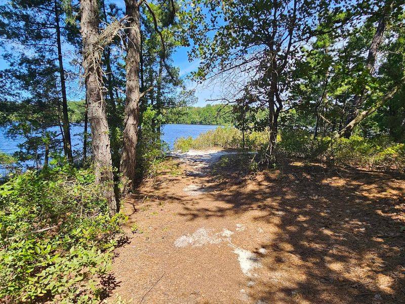 Atsion Recreation Area Trail