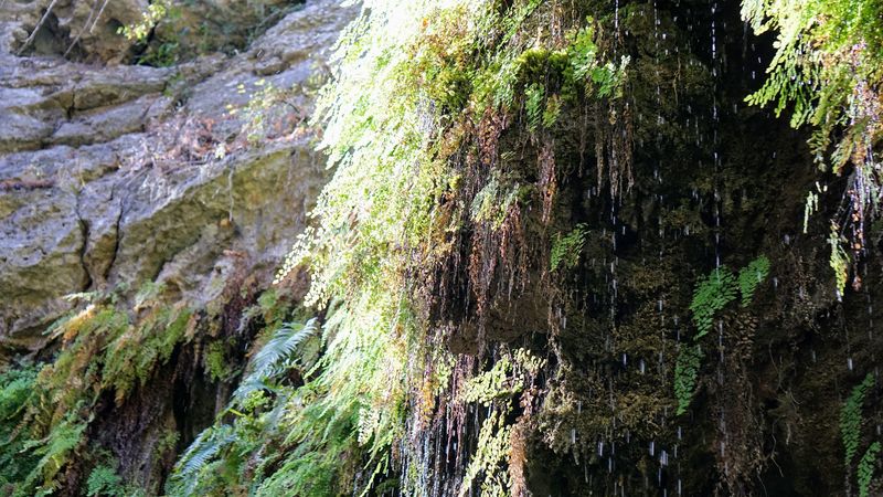 The 40-Foot Waterfall Hidden at the Canyon Floor