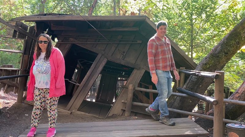 Strange Demonstrations You Will Actually See