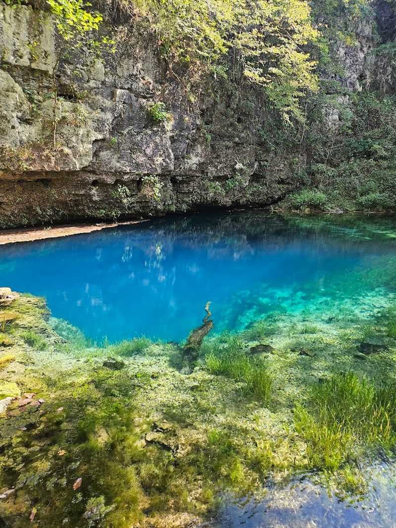 That First Glimpse of the Spring Genuinely Stops You Cold