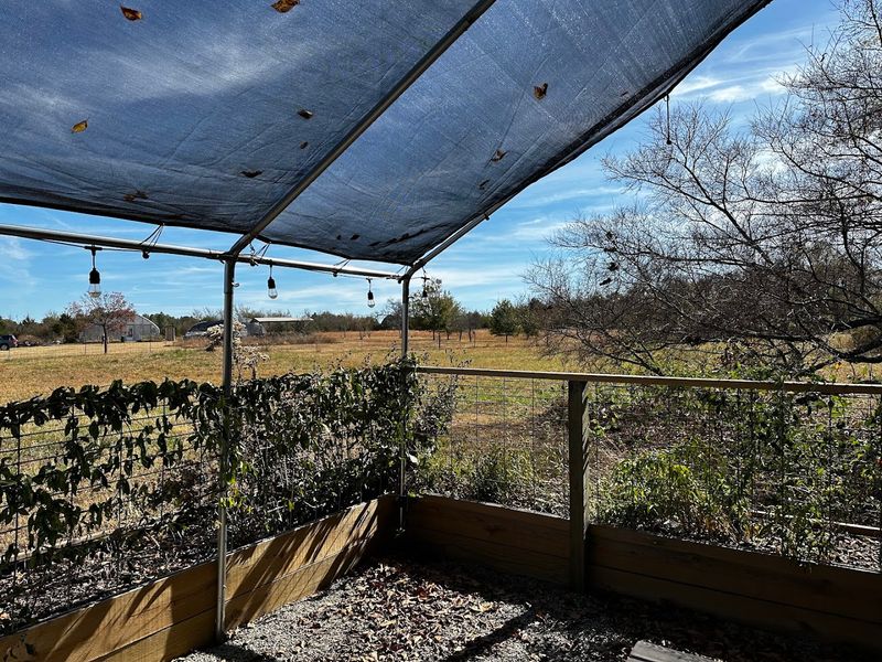 What to Expect on the Drive In