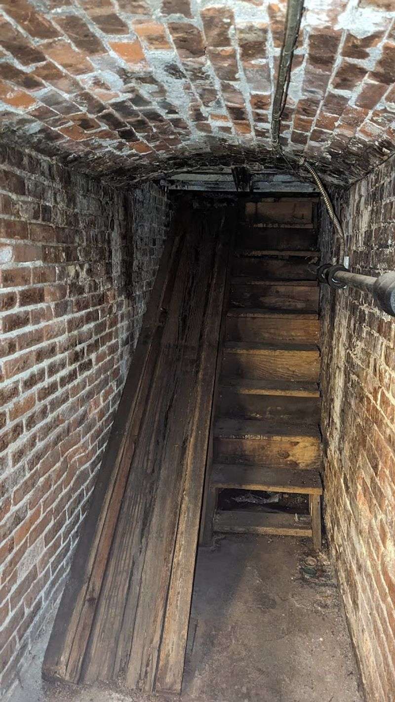 Taking the Official Guided Tour