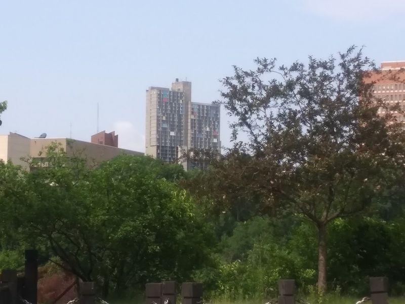 Somali Cuisine You Will Not Forget