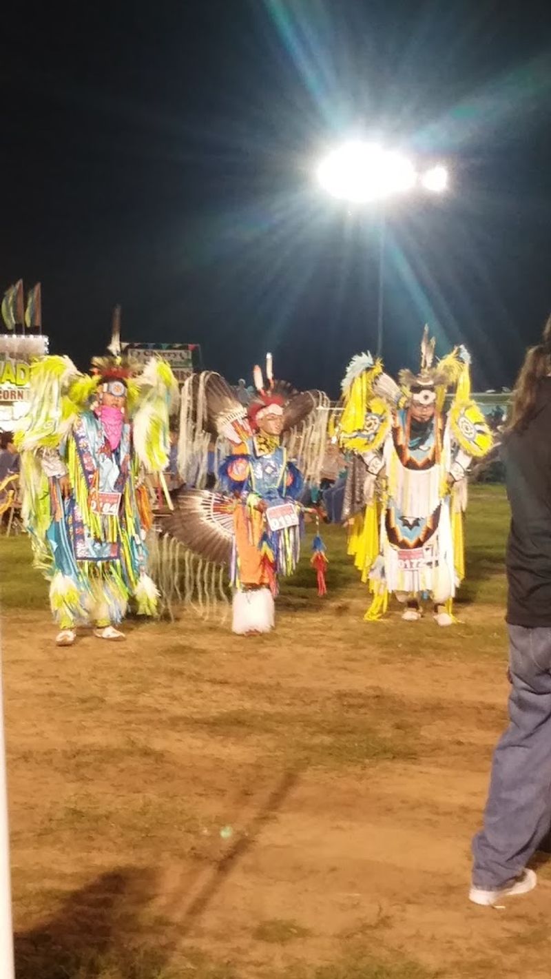 Powwows That Pulse With Living Tradition