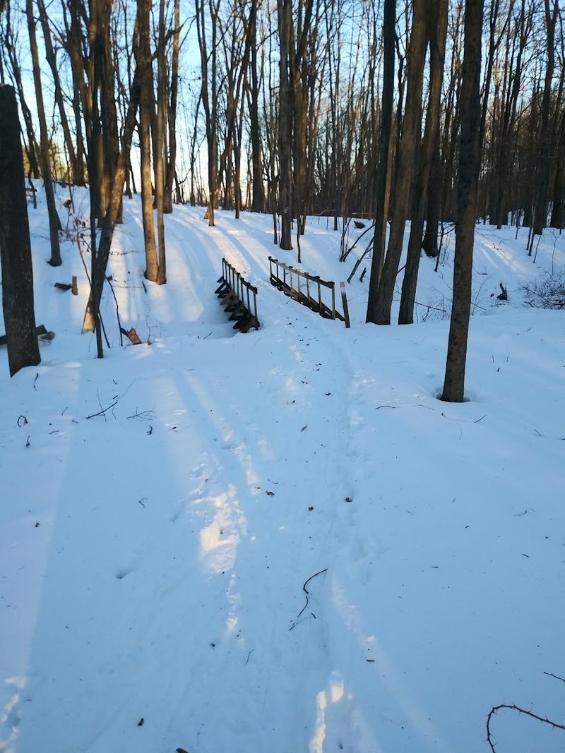 Hiking Trails Through the Scenic Sussex County Countryside