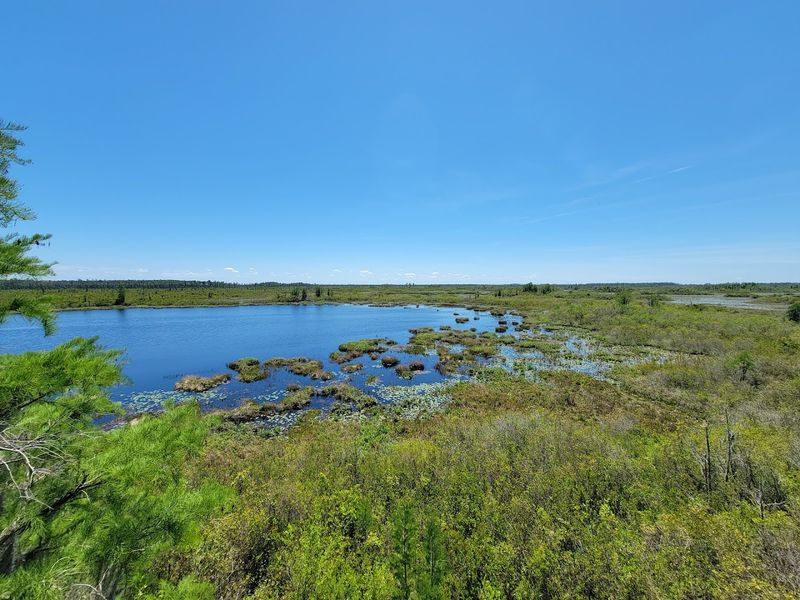 Titanium Mining Came Dangerously Close