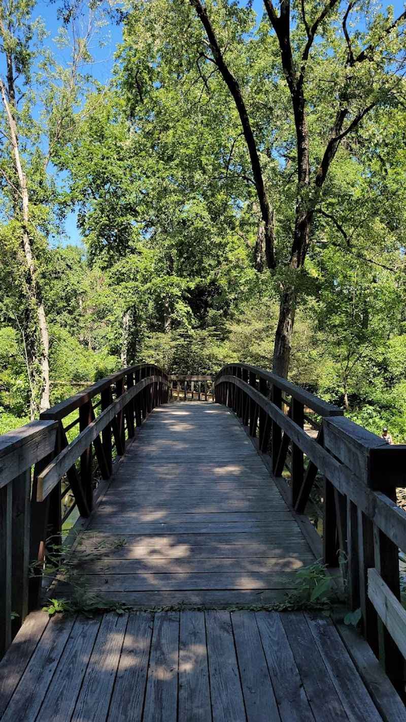 Birdwatching That Will Make You Want to Come Back Every Season