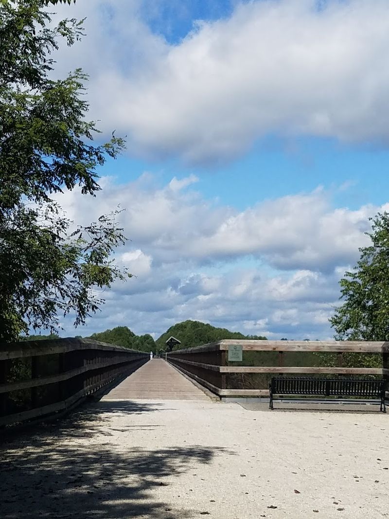 Cycling the Corridor Like a Pro