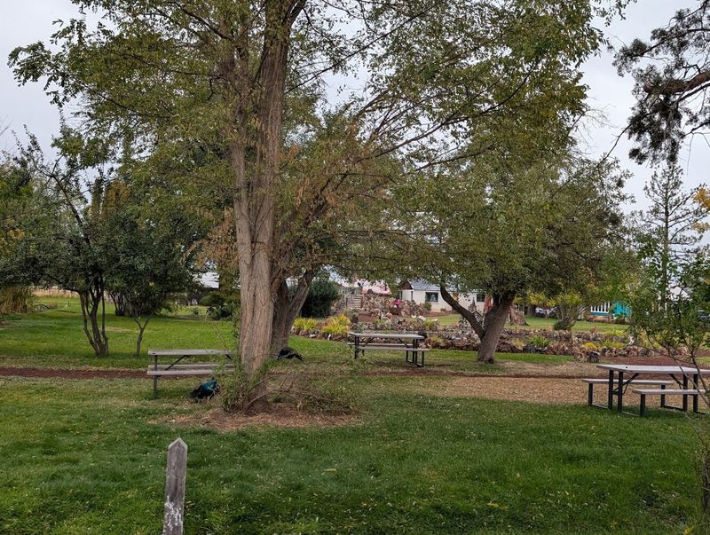 Feeding the Chickens and Meeting the Animals