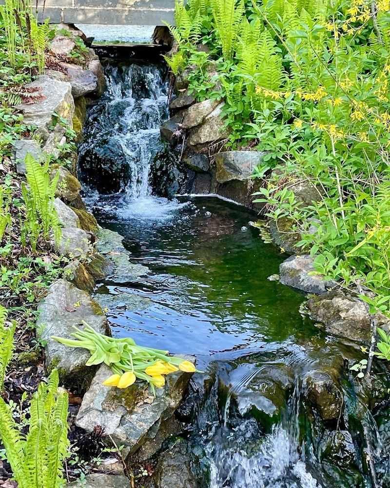 Photography Opportunities Around Every Curve