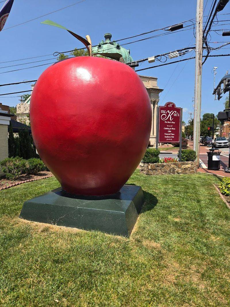 The Perfect Road Trip Photo Op