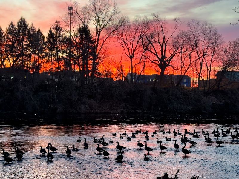 Scenic Riverfront Views Along the St. Joseph River