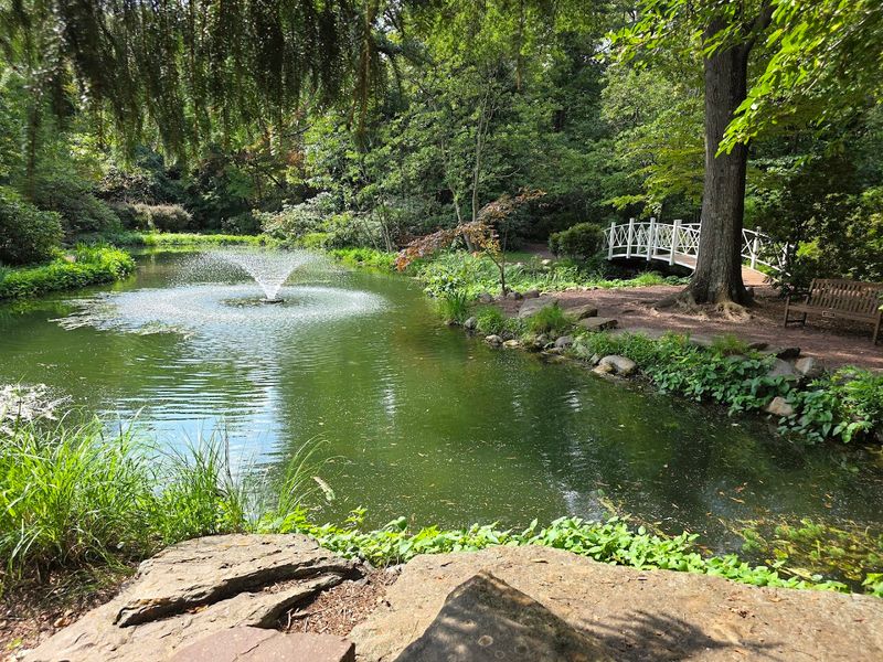Fish Ponds, Gazebos, and Bridges That Make Every Walk Feel Like an Adventure