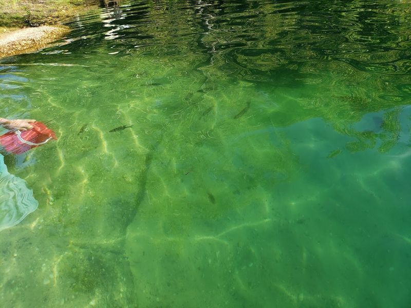 The Water Color That Makes People Stop and Question Reality